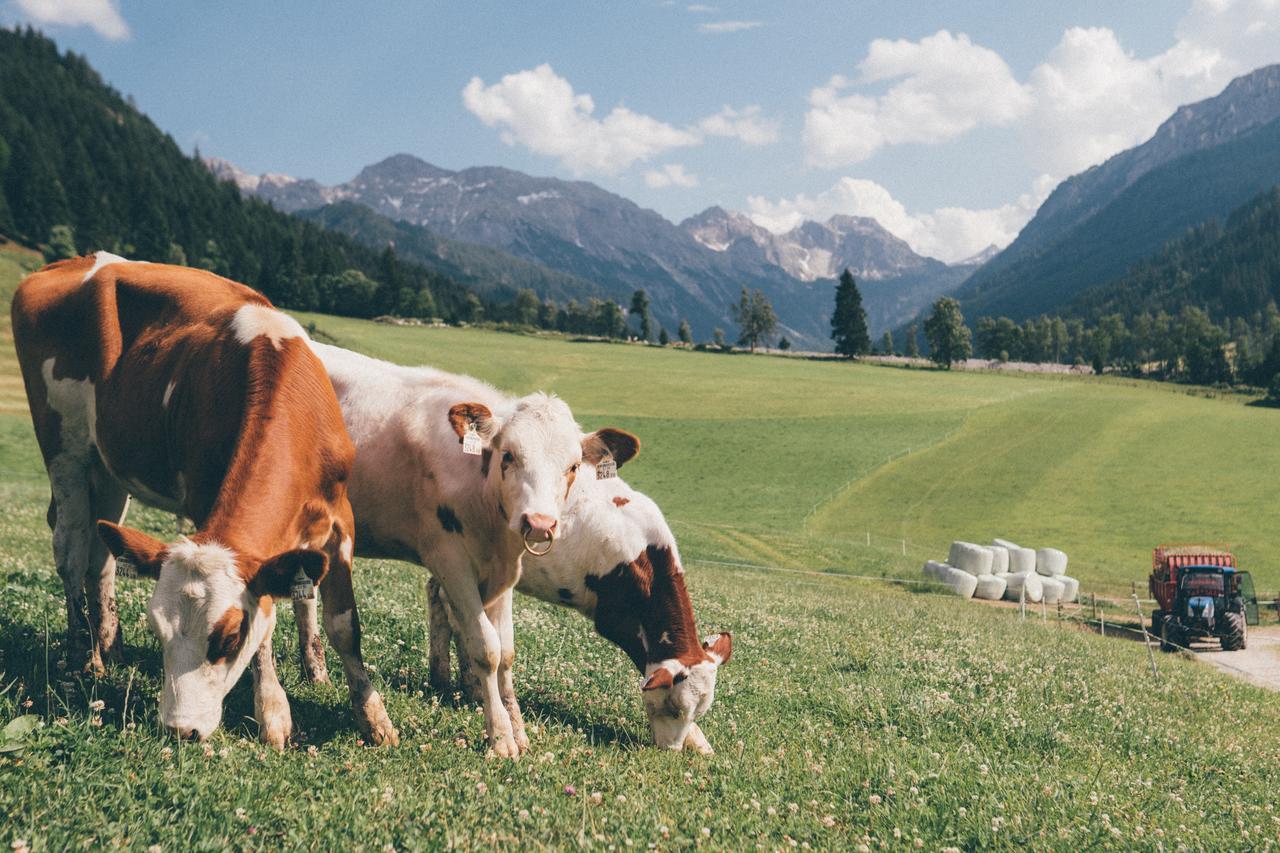 Ferienwohnungen Schwabhof Kleinarl Bagian luar foto